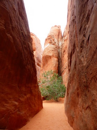 arches national park